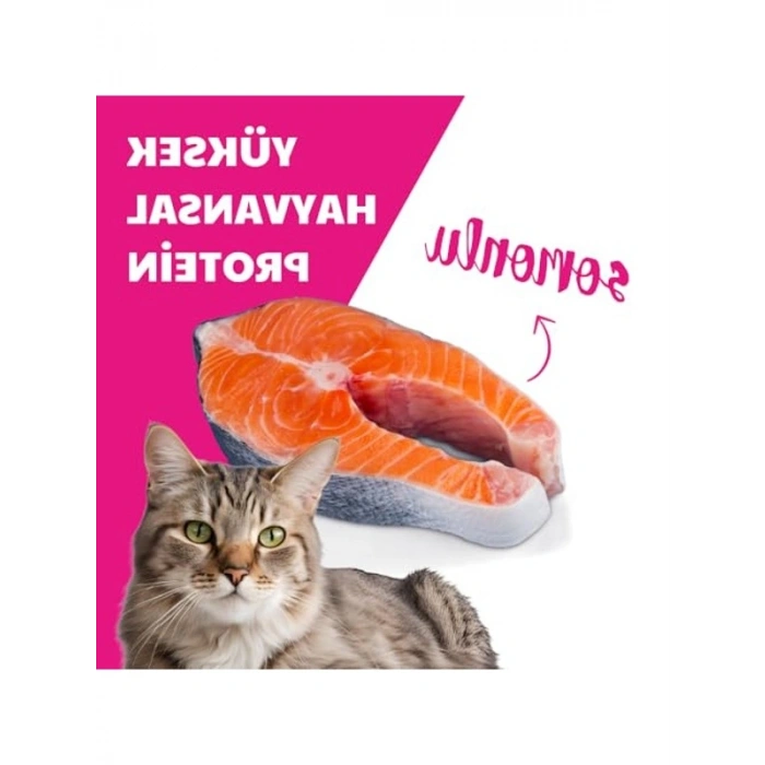 10 kg Somonlu Kısırlaştırılmış Kediler İçin Kuru Mama