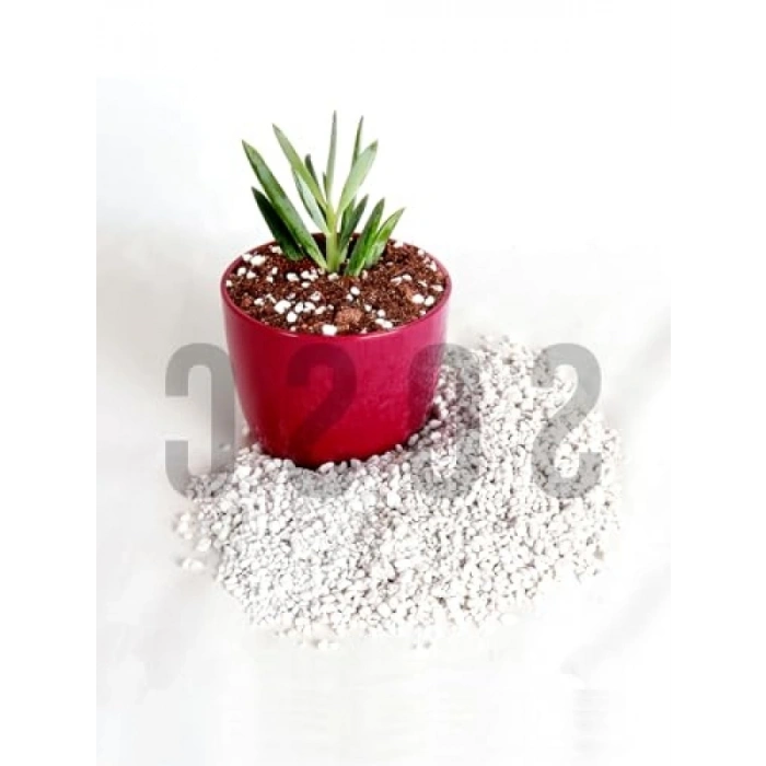 10 Litre Premium Kalite Tarım Perliti