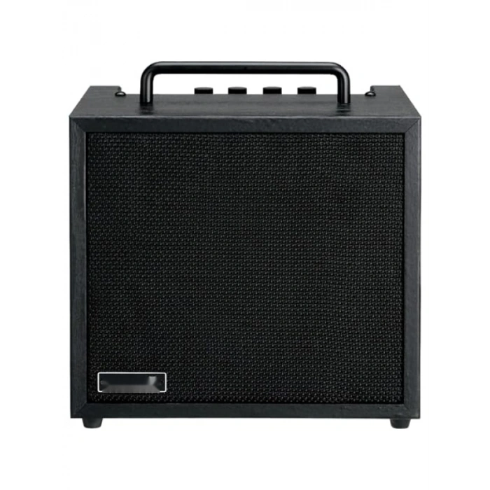 10 Watt Bas Combo Amfi - Yüksek Performans ve Taşınabilirlik