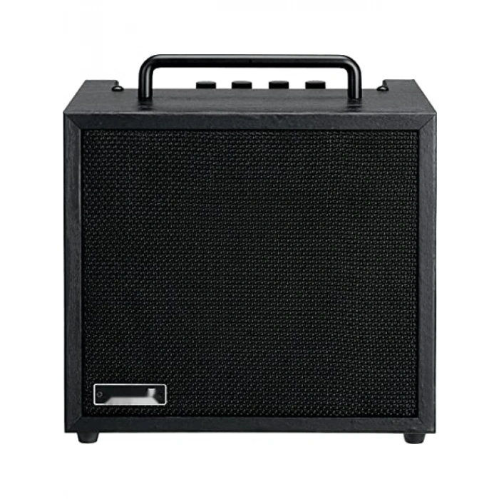 10 Watt Bas Combo Amfi - Yüksek Performans ve Taşınabilirlik
