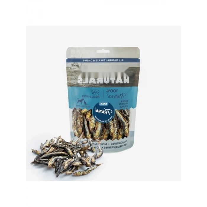 %100 Doğal Hamsi Balık Köpek Ödül Maması 100 gr