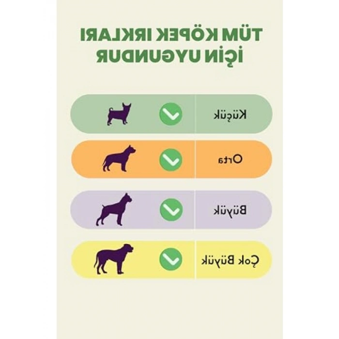 %100 Doğal Kurutulmuş Dana Kelle Derisi Çiğnemelik, 100 gr