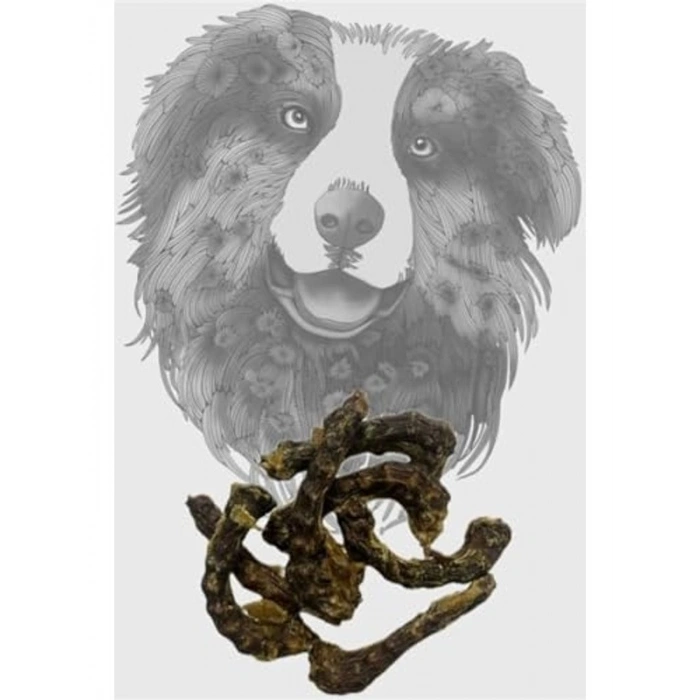 100 gr Kurutulmuş Tavuk Boyun, Köpek Ödülü