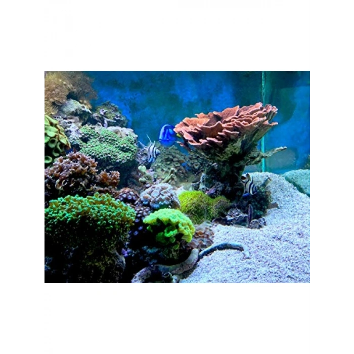 100 ML Matrix Carbon - Düşük Kül İçerikli Filtre Medyası