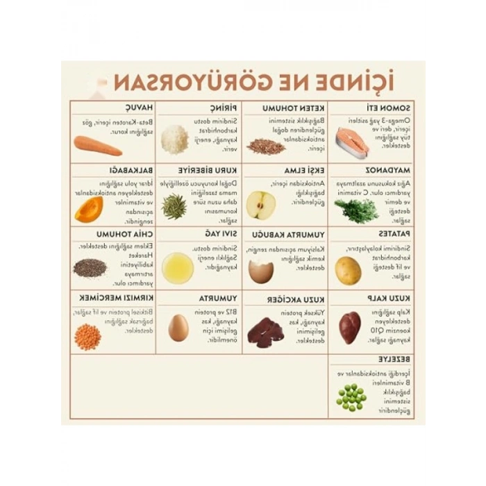 %100 Taze Somon Etli Köpek Yemeği 250 gr