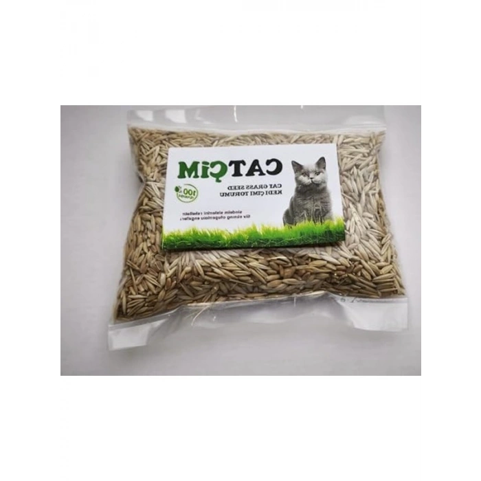 1000 gram %100 Doğal Kedi Çimi Tohumu, Arpa ve Buğday Karışımı