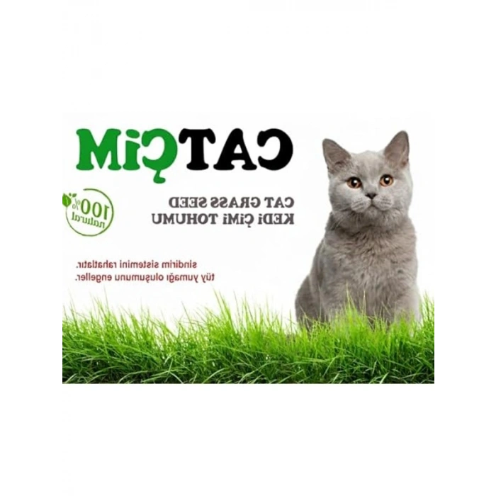 1000 gram %100 Doğal Kedi Çimi Tohumu, Arpa ve Buğday Karışımı