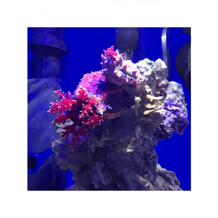 1000 ML Yoğunluk Azaltıcı Ürün