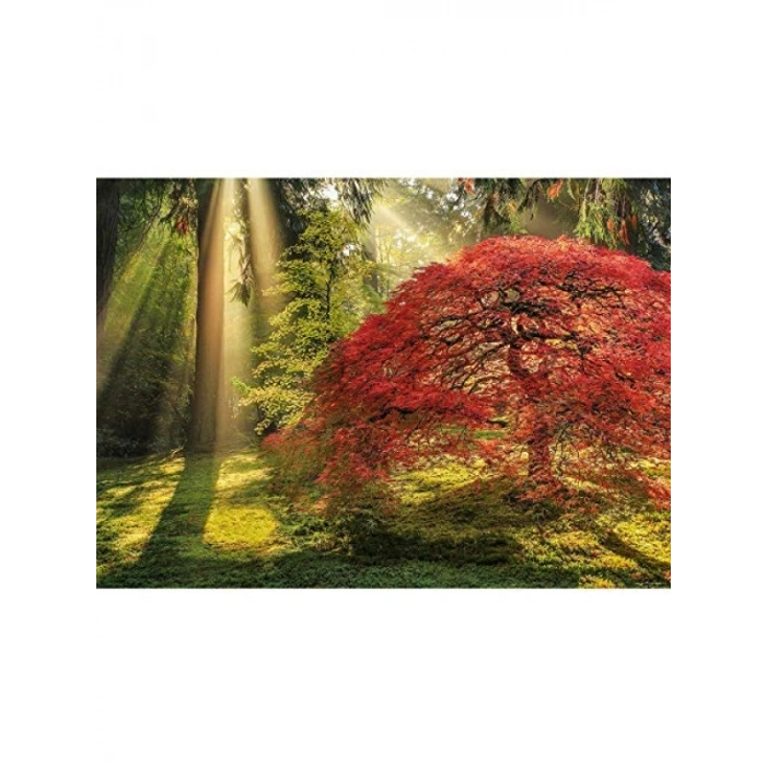 1000 Parça Puzzle - Yıldızlı Gece Temalı