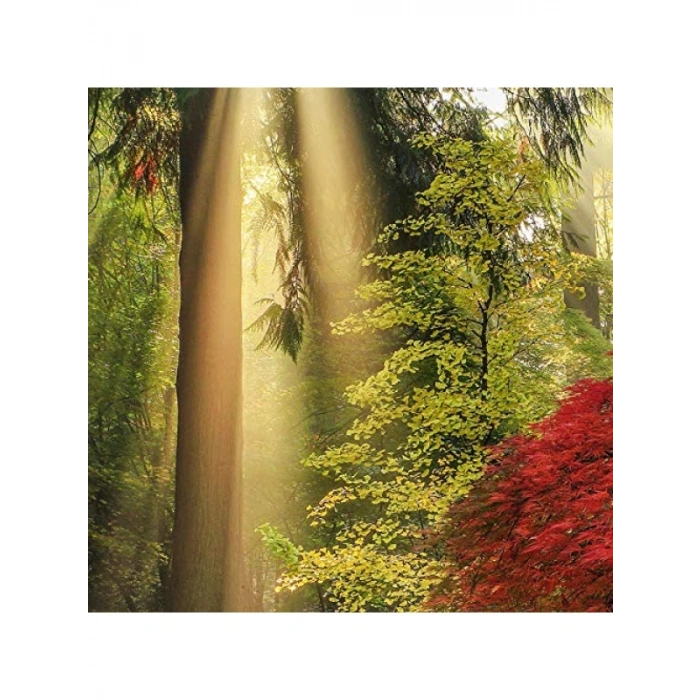 1000 Parça Puzzle - Yıldızlı Gece Temalı