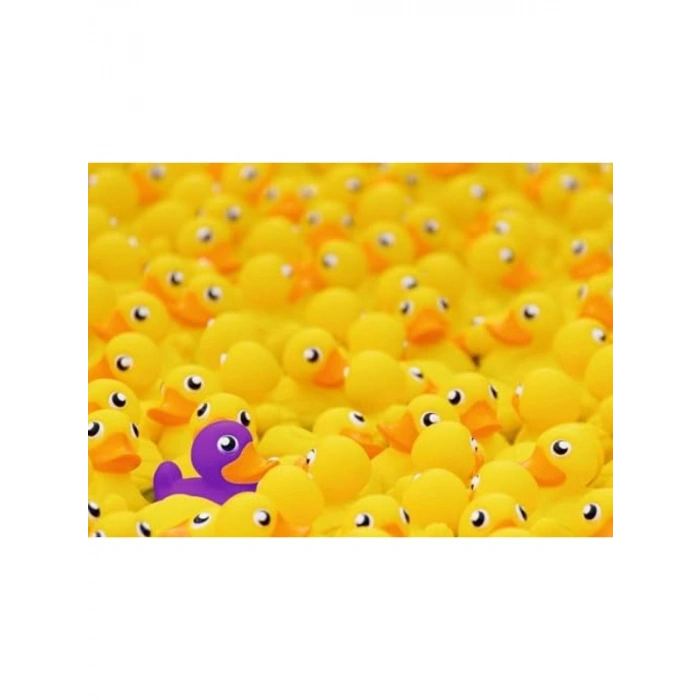 1000 Parça Renkli Ördek Temalı Puzzle, Eğlenceli Zorluk
