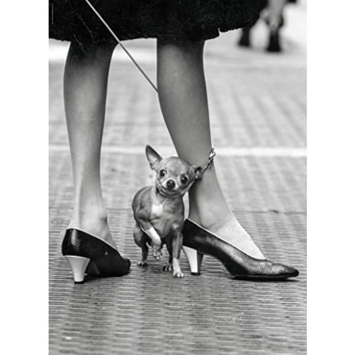 1000 Parça Yetişkin Yapboz - Hayat Temalı