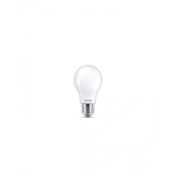 100W Filament Ampul, Sıcak Beyaz Işık ve E27 Duy ile Enerji Tasarruflu