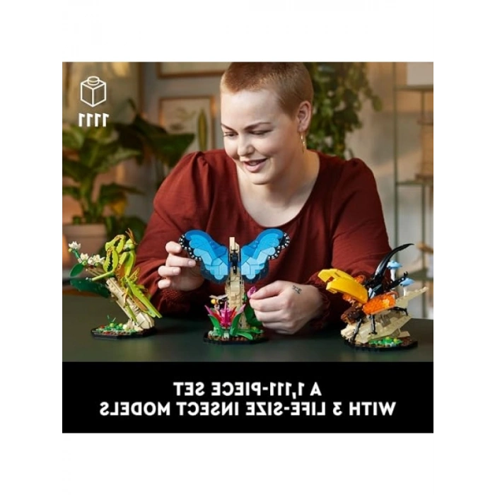 1111 Parça Böcek Koleksiyonu Yapım Seti, Yaratıcı Eğlence