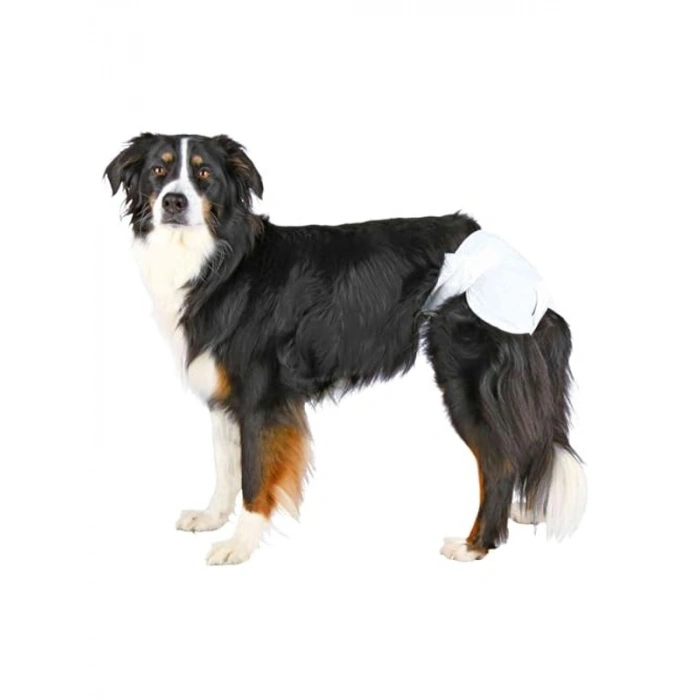 12 Adet XS-S Boyutunda Köpek Pedi