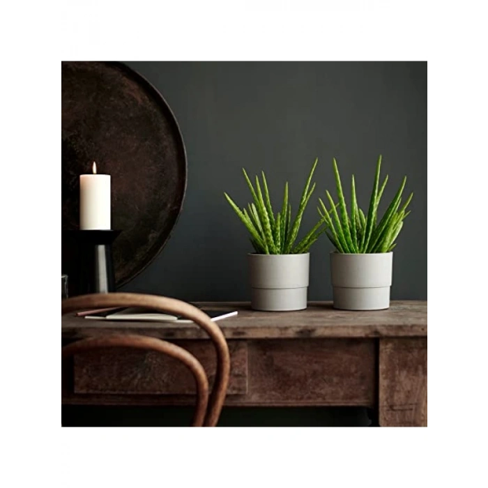 12 cm Açık Hava için Gri Bitki Saksısı