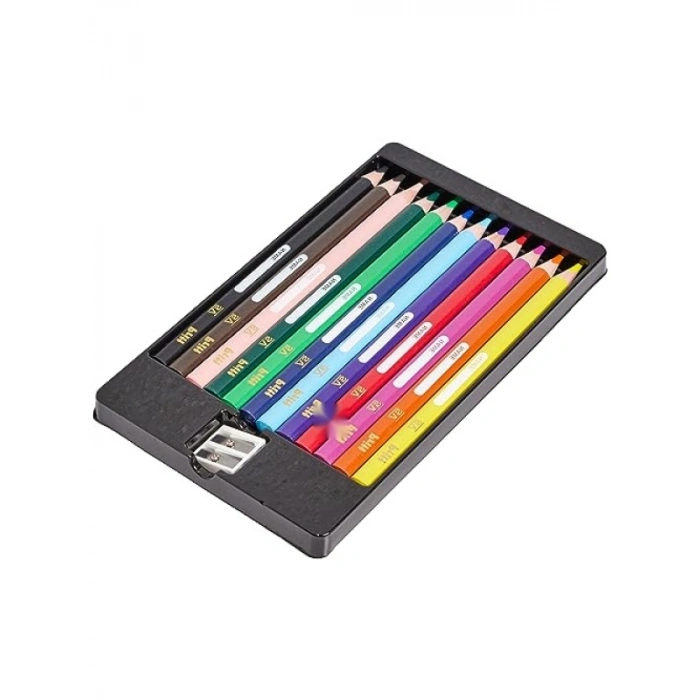 12li Jumbo Kuru Boya Kalemi Seti, Renkli ve Ergonomik