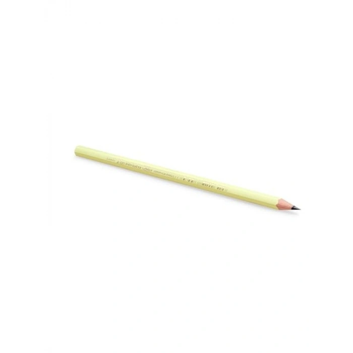 12li Kutu Kıymık Oluşturmaz Pastel Kurşun Kalem