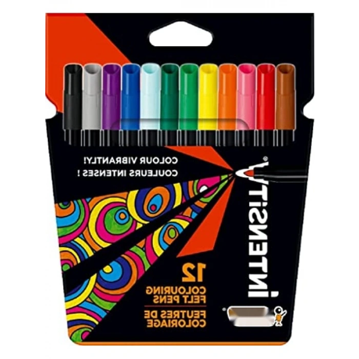 12 Renk Su Bazlı Keçeli Boyama Kalemi Seti