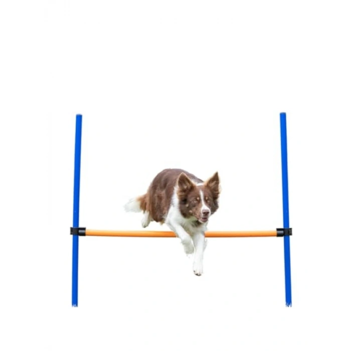 123x115xØ3 cm Köpek Agility Eğitim Manisi