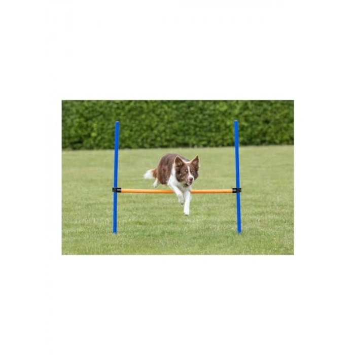 123x115xØ3 cm Köpek Agility Eğitim Manisi
