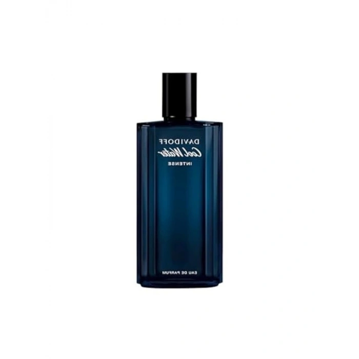 125 ml Intense EDP Erkek Parfüm – Derin ve Etkileyici Koku Deneyimi