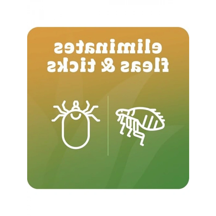 150 ml Durulanmayan Kedi Şampuanı, Doğal İçerik