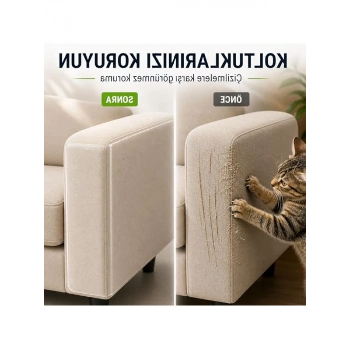15L Akıllı Köpek Mama Kabı, Mobil Kontrol Uyumlu