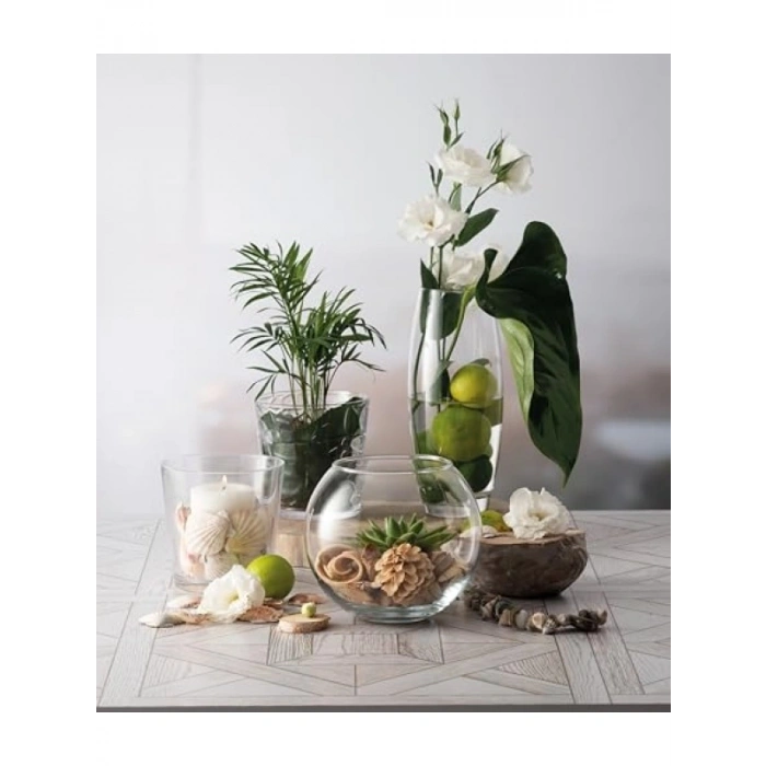 160 mm Botanica Vazo - Tekli Hediyelik Kutu