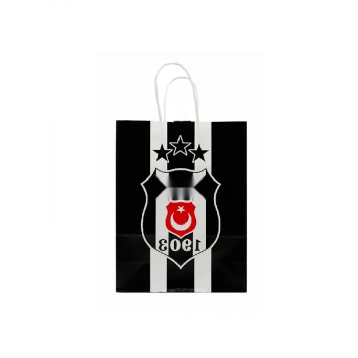 18x24 cm Temalı Lisanslı Kağıt Çanta (2 Adet)