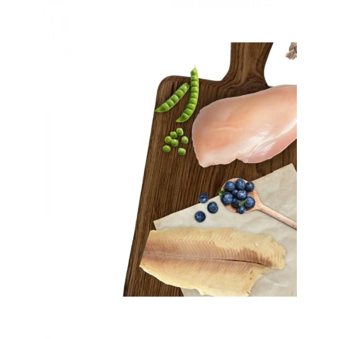 2 Kg Glutensiz Balıklı Yetişkin Kedi Maması