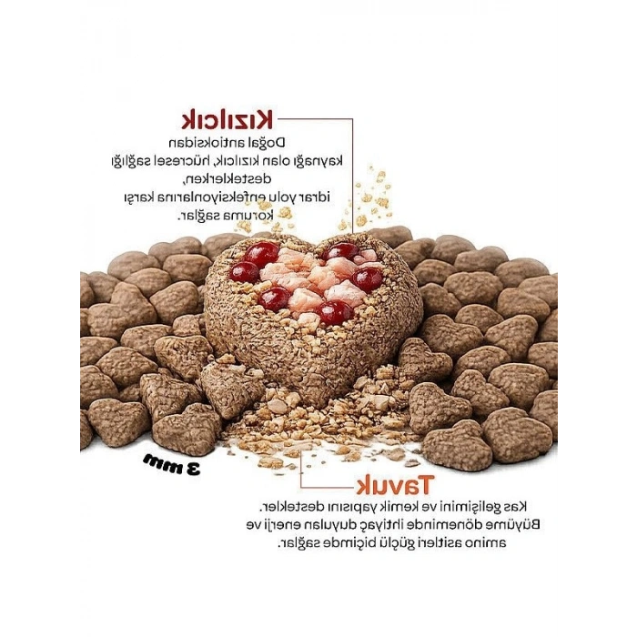2 Kg Kızılcık ve Tavuklu Yavru Kedi Maması