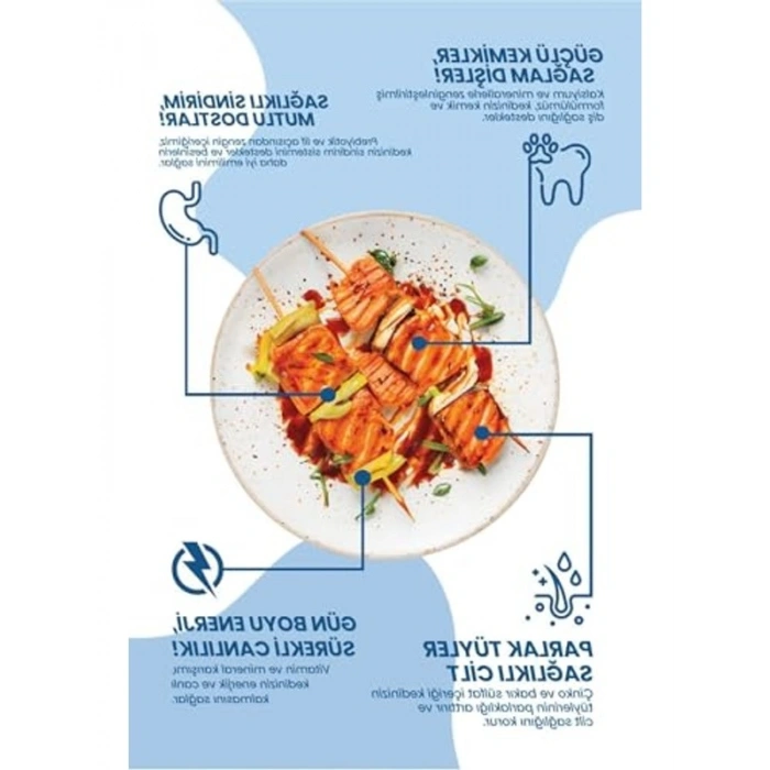 2 kg Somonlu Süper Premium Kısır Kedi Maması, Hipoalerjenik