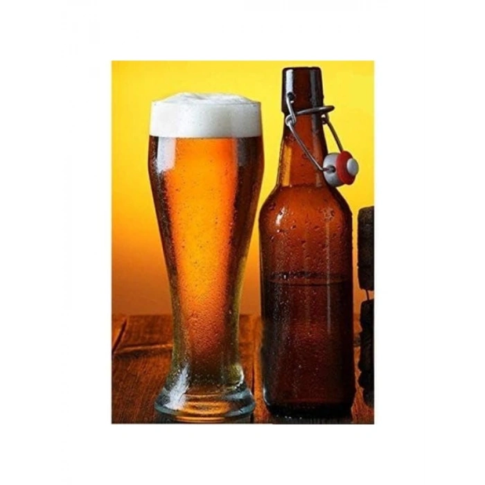 2li Hediyelik Bira Bardağı Seti - 415 cc