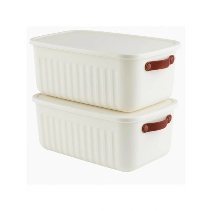 2li Kapaklı Saklama Kutusu Seti - 10 Litre - Çok Amaçlı Organizer