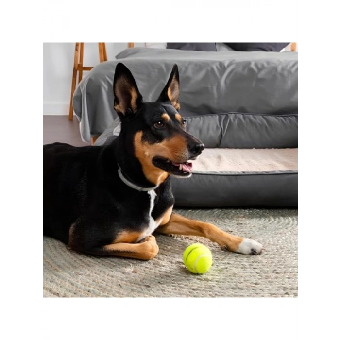 2li Kedi ve Köpek Tenis Topu - 7.5 cm