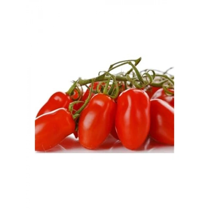 20 Adet Domates Tohumu, Patio San Marzano
