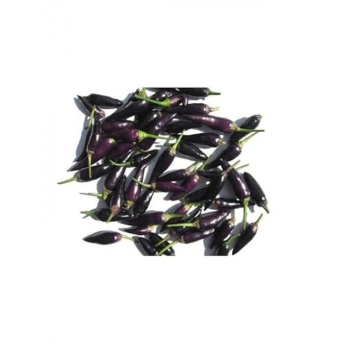 20 Adet Organik Purple Cayenne Biber Tohumu, Yüksek Verim İçin İdeal Seçim