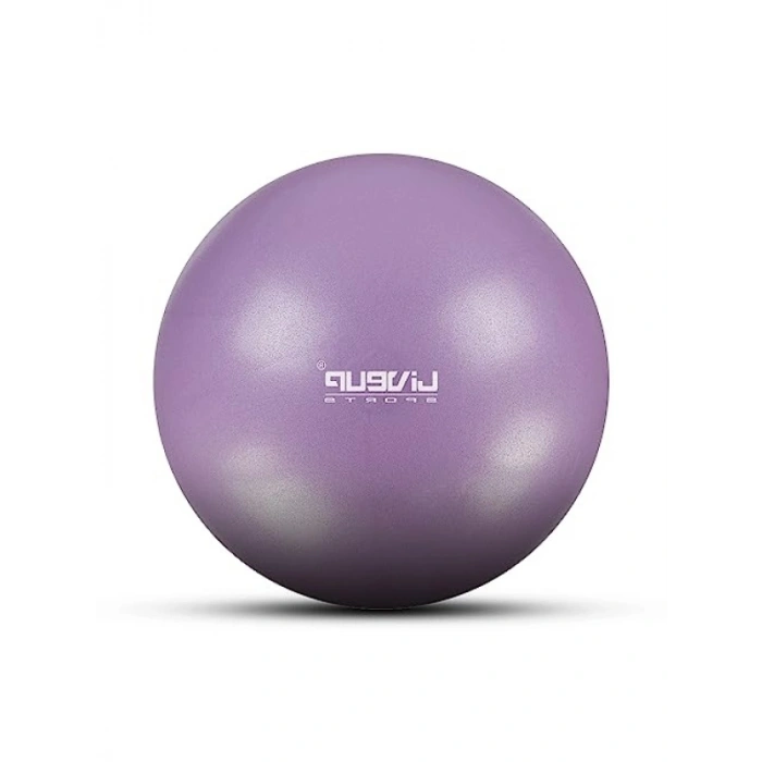 20 cm Pembe Pilates Topu