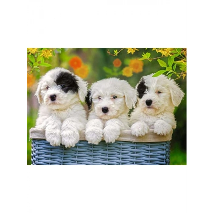 200 Parça Köpek Yavruları Yapboz