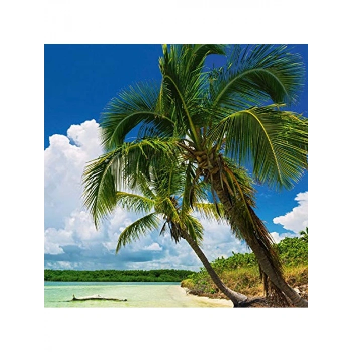 2000 Parça Panorama Puzzle, Paradise Palm Temalı Eğlenceli Aktivite