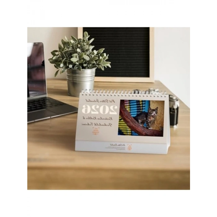 2026 Yılına Özel Kedi Temalı Masa Takvimi