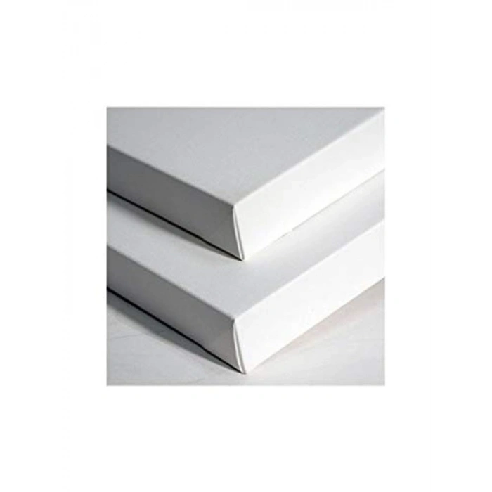 20x20 cm Profesyonel Tuval, Kaliteli Sanat İçin