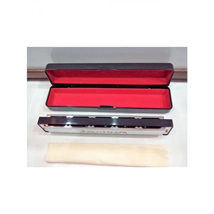 24 delikli C mızıka, kutulu ve temizleme mendilli set