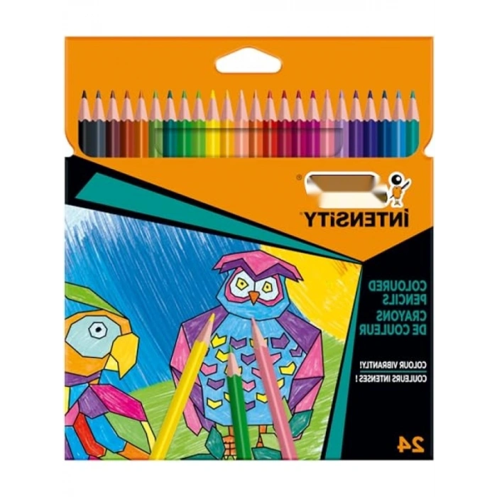 24lü Üçgen Kuru Boya Kalemi Seti - Ergonomik Tasarım