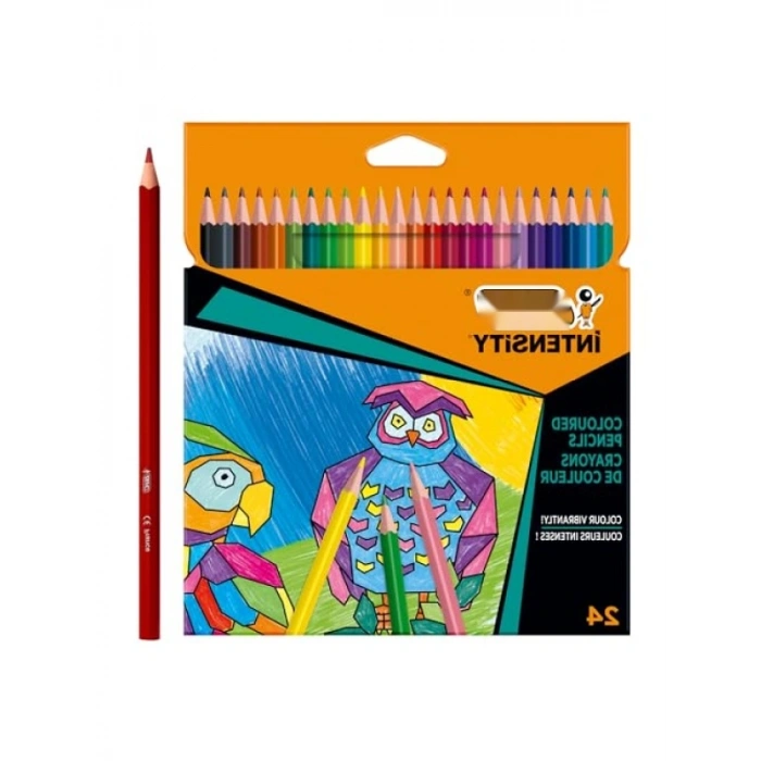 24lü Üçgen Kuru Boya Kalemi Seti - Ergonomik Tasarım