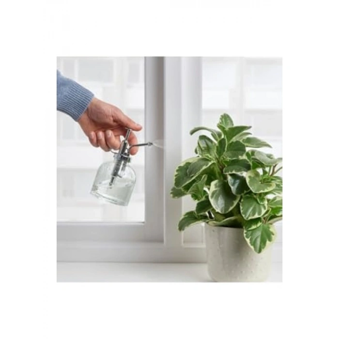 25 Cl Kapasiteli Bitki Sulama Şişesi - 16 cm