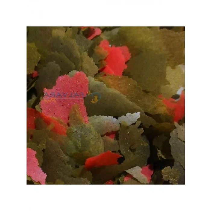 250 gr tropikal cichlid spirulina pul balık yemi