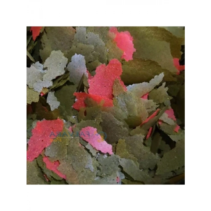 250 gr tropikal cichlid spirulina pul balık yemi