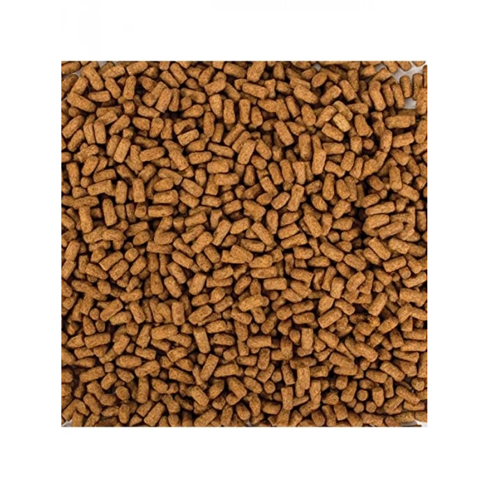 250 ml Ağırlığında Biorept Supreme Young, Kaliteli Yemin